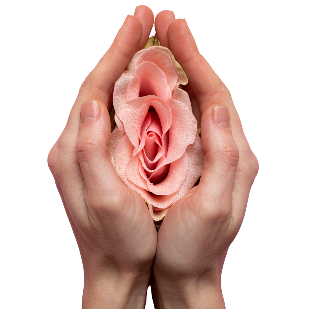 Ilustración de cuidado ginecológico